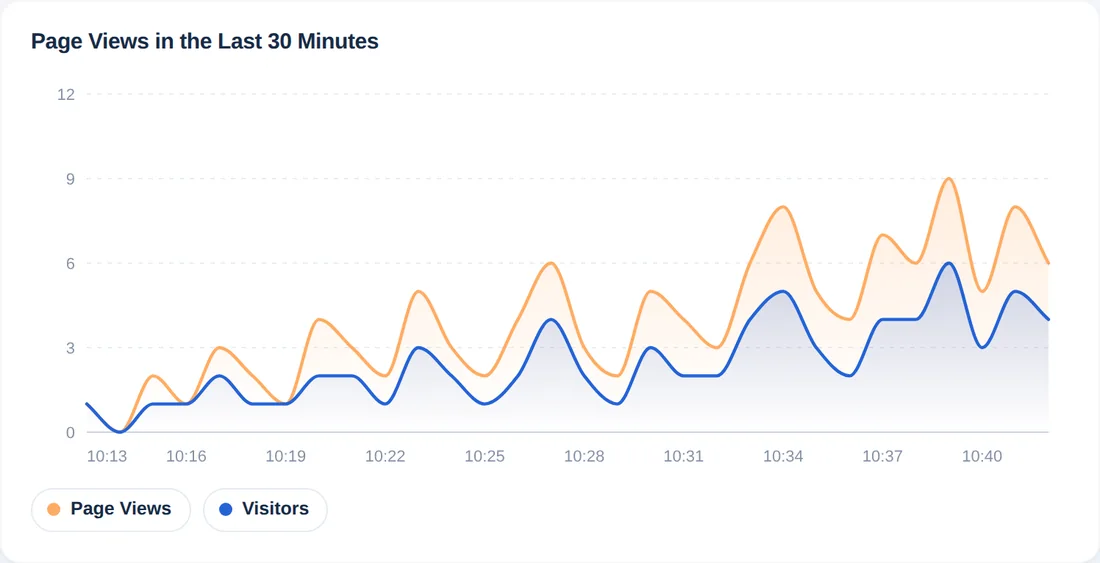 Diagram över sidvisningar och besökare för varje minut under de senaste 30 minuterna